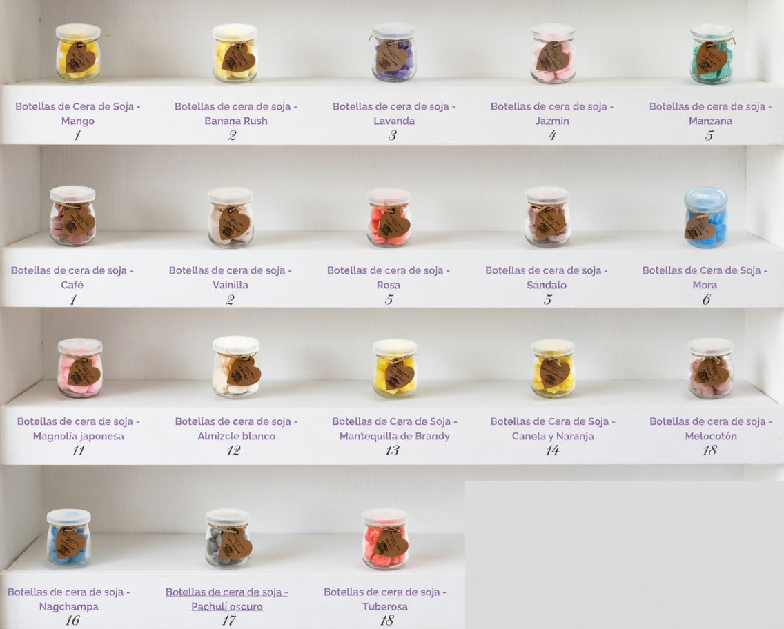 Caja Regalo Wax Melts Tarro - Quemador moderno