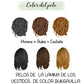 Imagen16.jpg