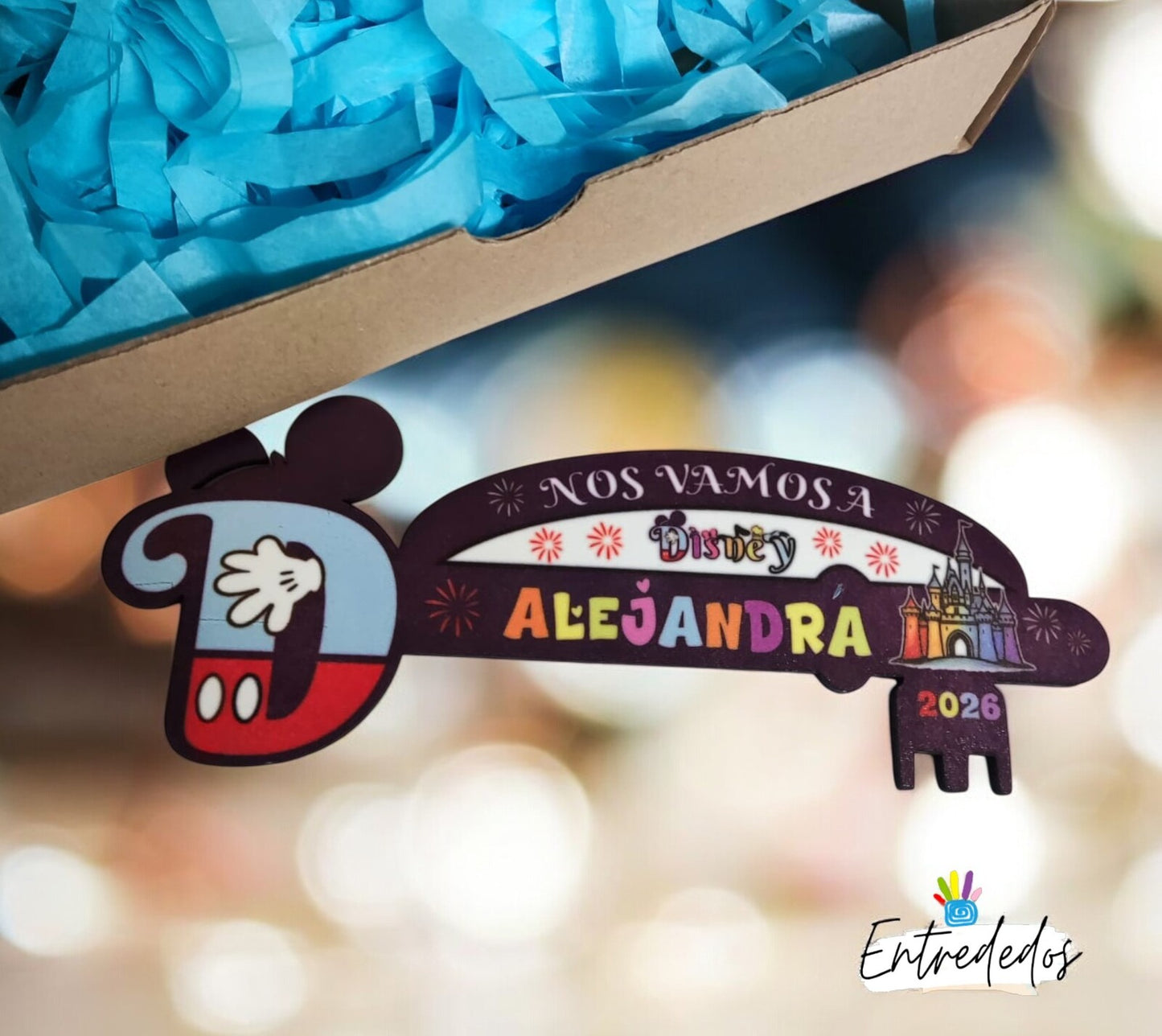 ave-personalizada-viaje-Disney-parque
