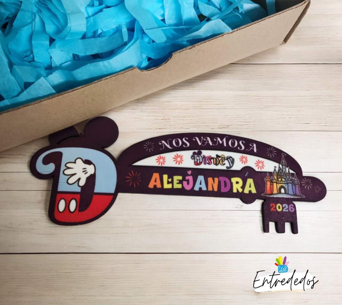 ave-personalizada-viaje-Disney-unica (1)