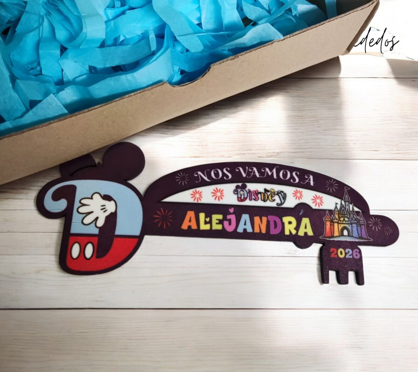 ave-personalizada-viaje-Disney-unica