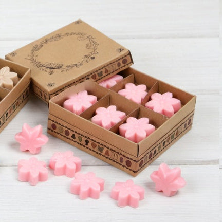 Wax Melts de Soja Momentos de Bienestar Caja de Regalo