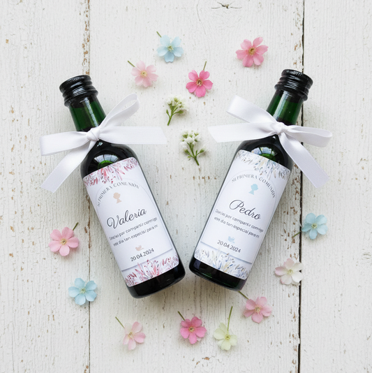 Vino Tinto Señorío de los Llanos Botella Plástico