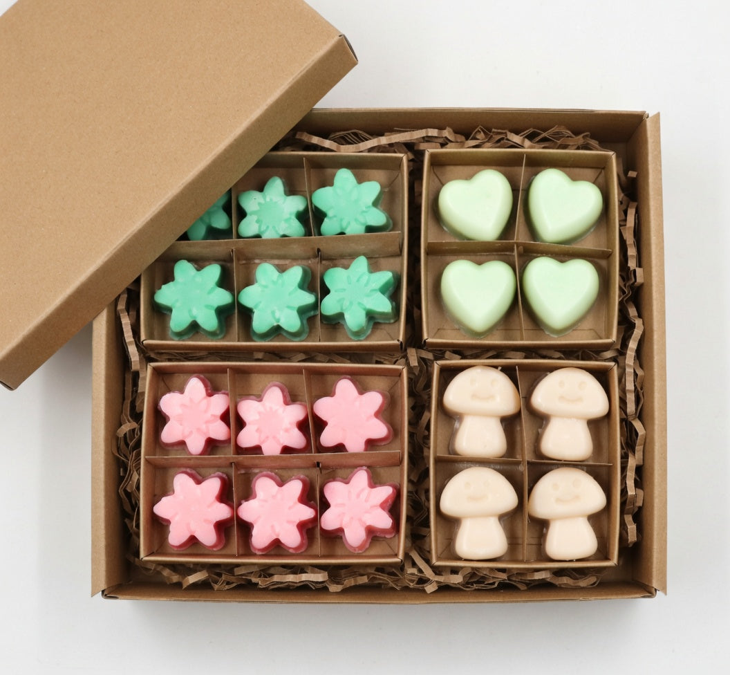 Wax Melts de Soja Momentos de Bienestar Caja de Regalo