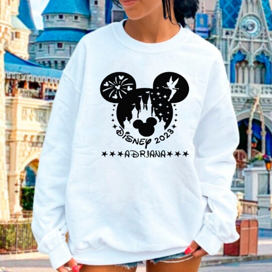 Sudaderas para familias DISNEY WARNER PORTAVENTURA personalizadas